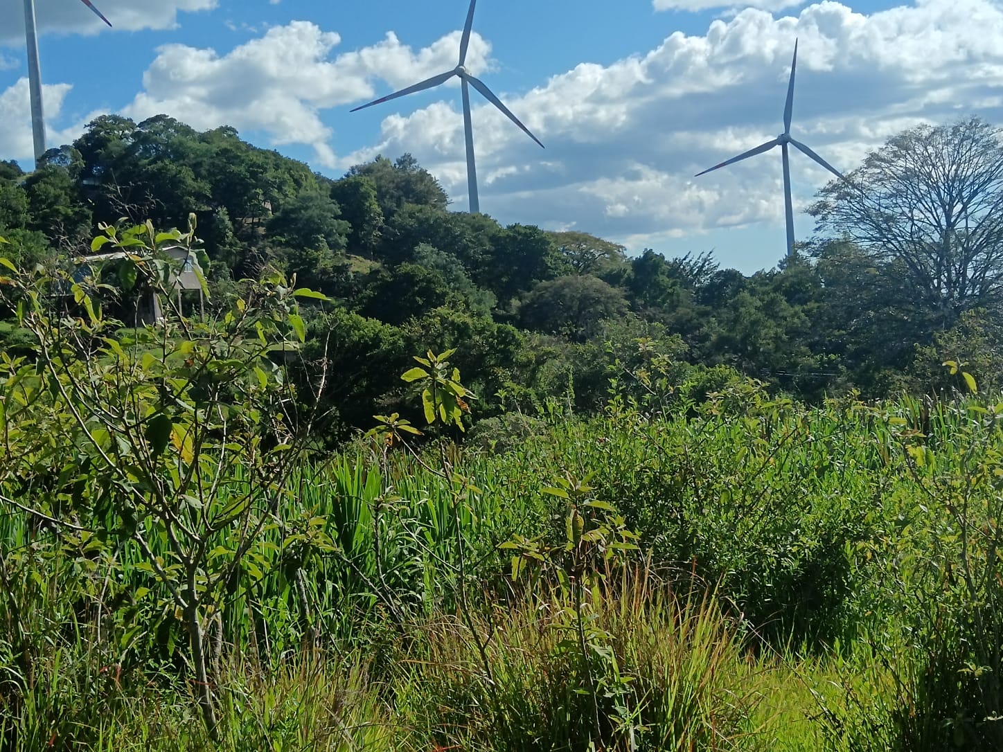 SANTA ANA, FRANCISCO MORAZÁN